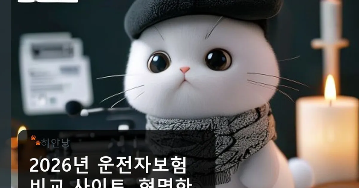 운전자보험 비교 사이트 - chanyangyee.kr 캐릭터