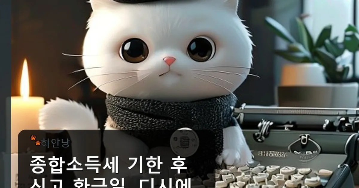 종합소득세 기한 후 신고 환급 일 디시 - chanyangyee.kr 캐릭터